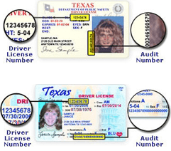 fl online drivers license check